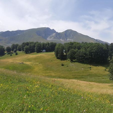 Durmitorski Konak Žabljak Exteriör bild