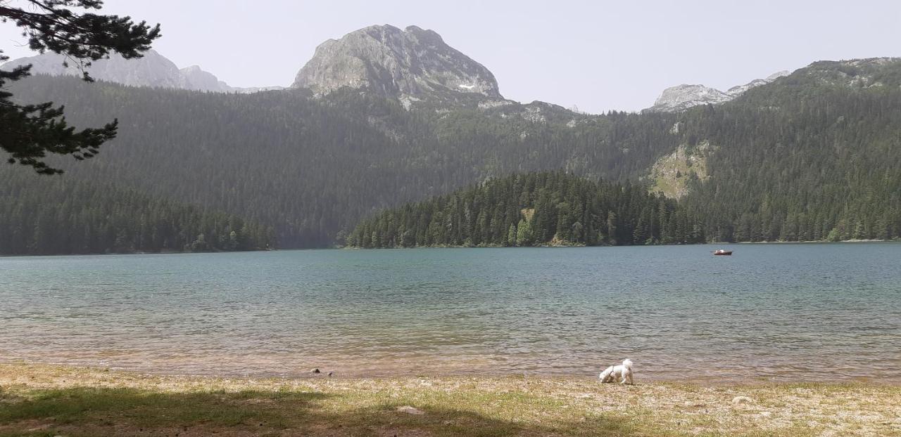 Durmitorski Konak Žabljak Exteriör bild
