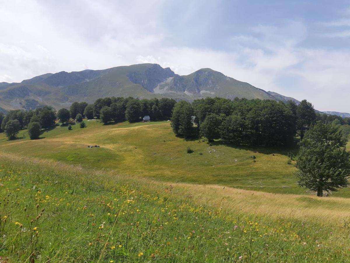 Durmitorski Konak Žabljak Exteriör bild